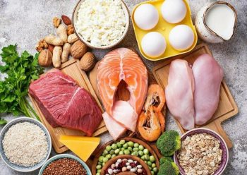 белковые продукты рыба мясо яйца молоко орехи фасоль горох