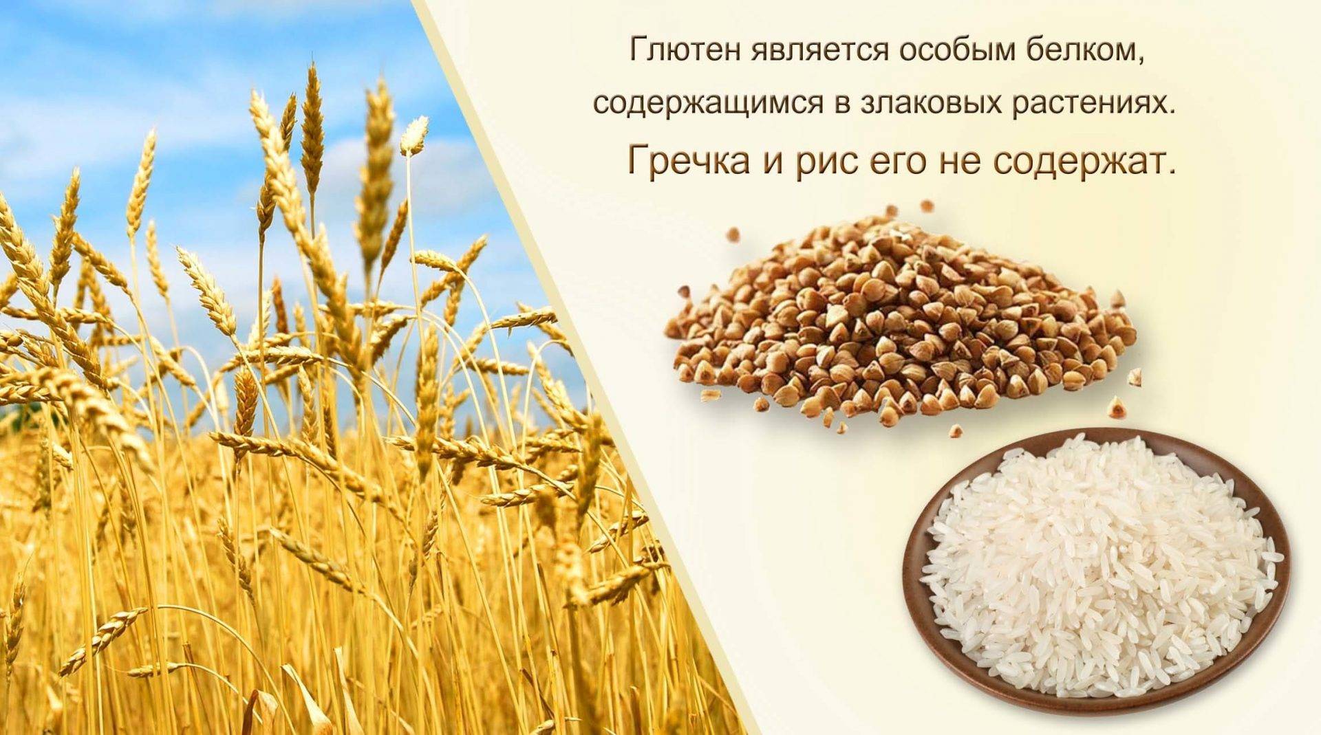 глютен рожь рис гречка